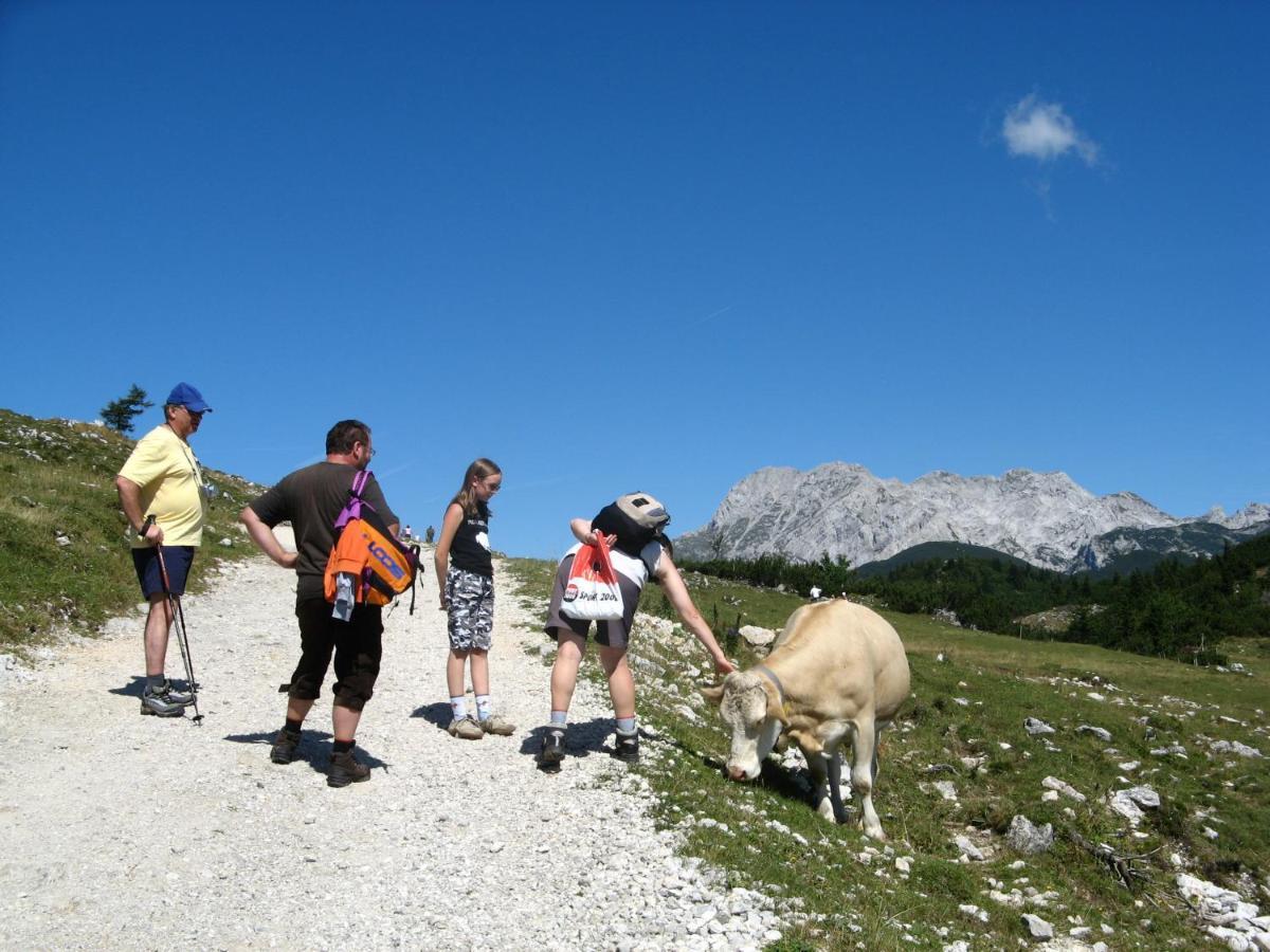 Alpine Chalet Velika Planina - Irenca - I Feel Alps Стаховиця Екстер'єр фото